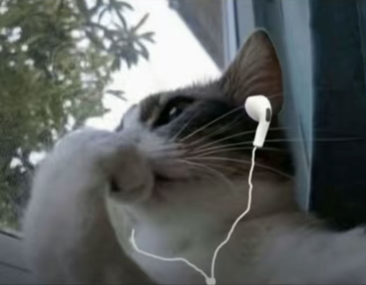 Capa do poema Ponto de vista	 